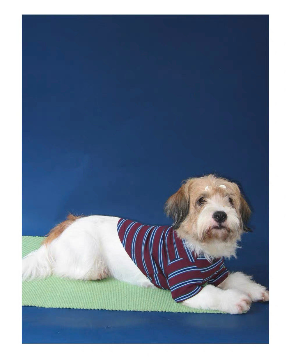 Twoll Vintage Stripe Long Sleeve Dog Tee