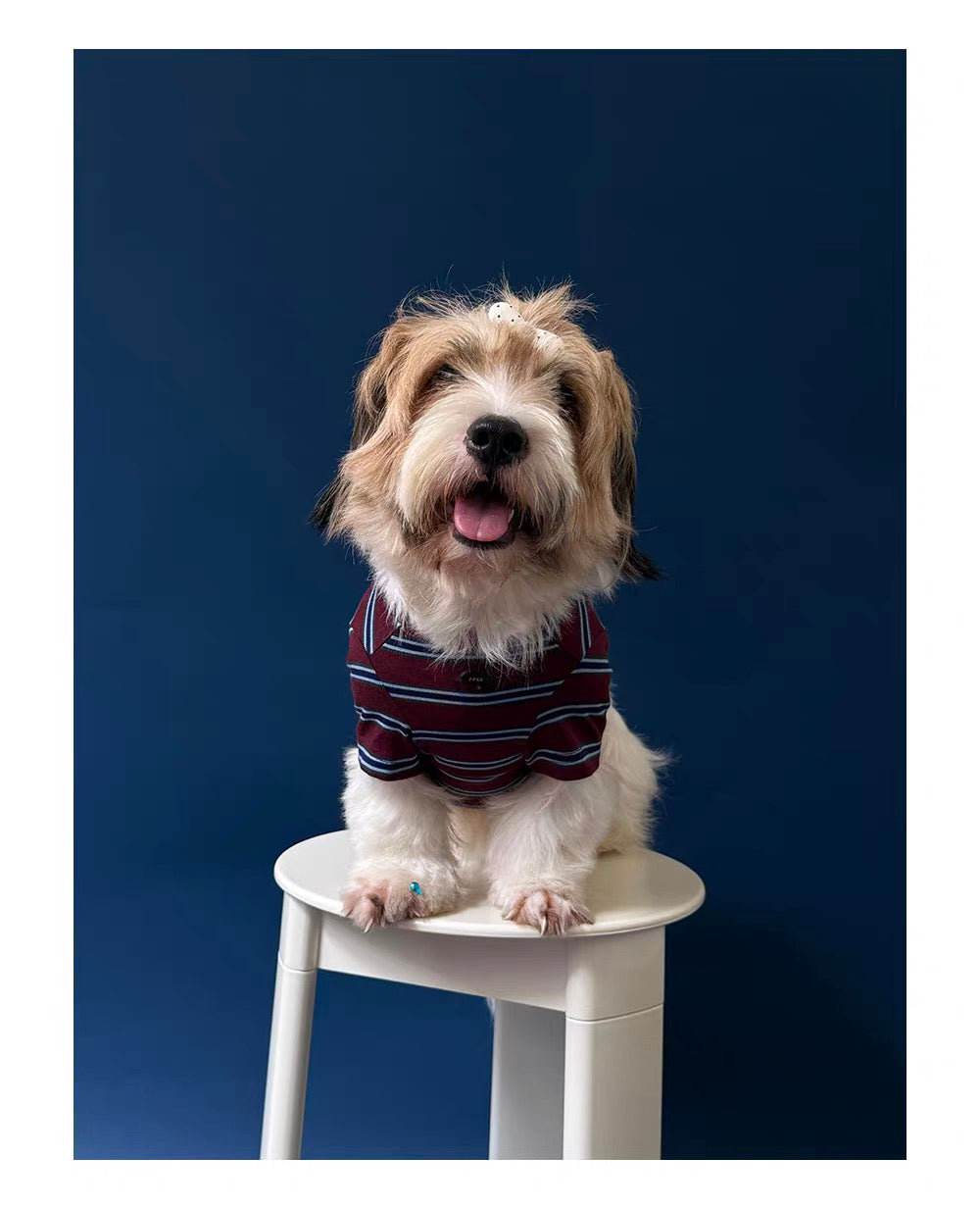 Twoll Vintage Stripe Long Sleeve Dog Tee
