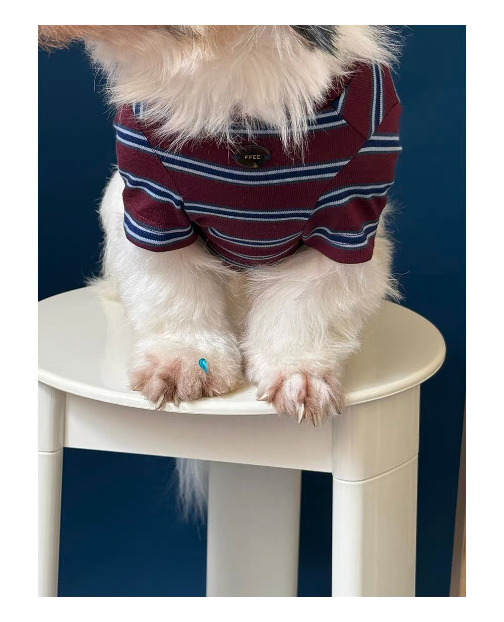 Twoll Vintage Stripe Long Sleeve Dog Tee