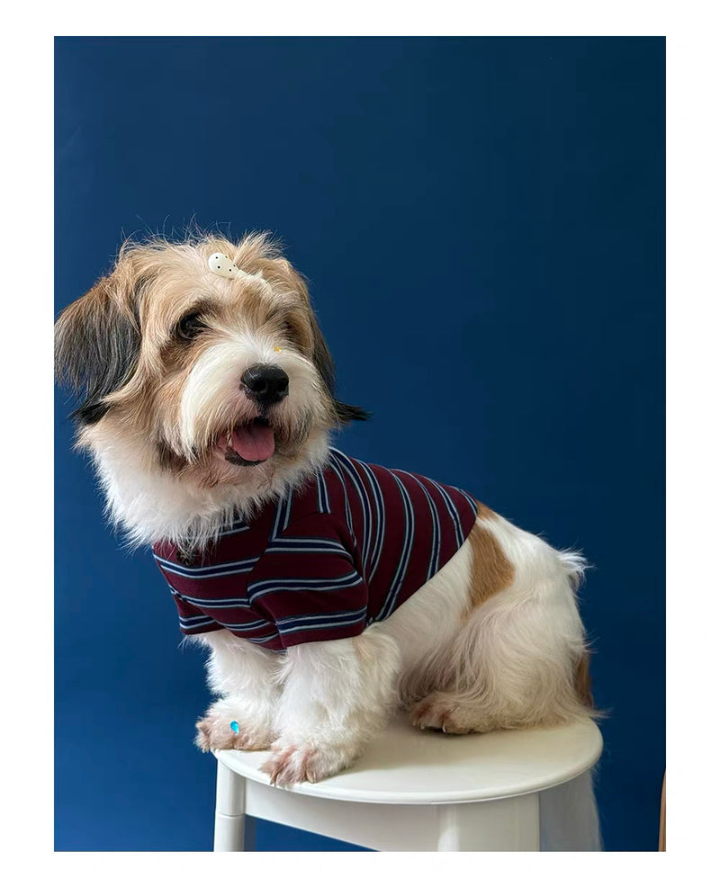 Twoll Vintage Stripe Long Sleeve Dog Tee