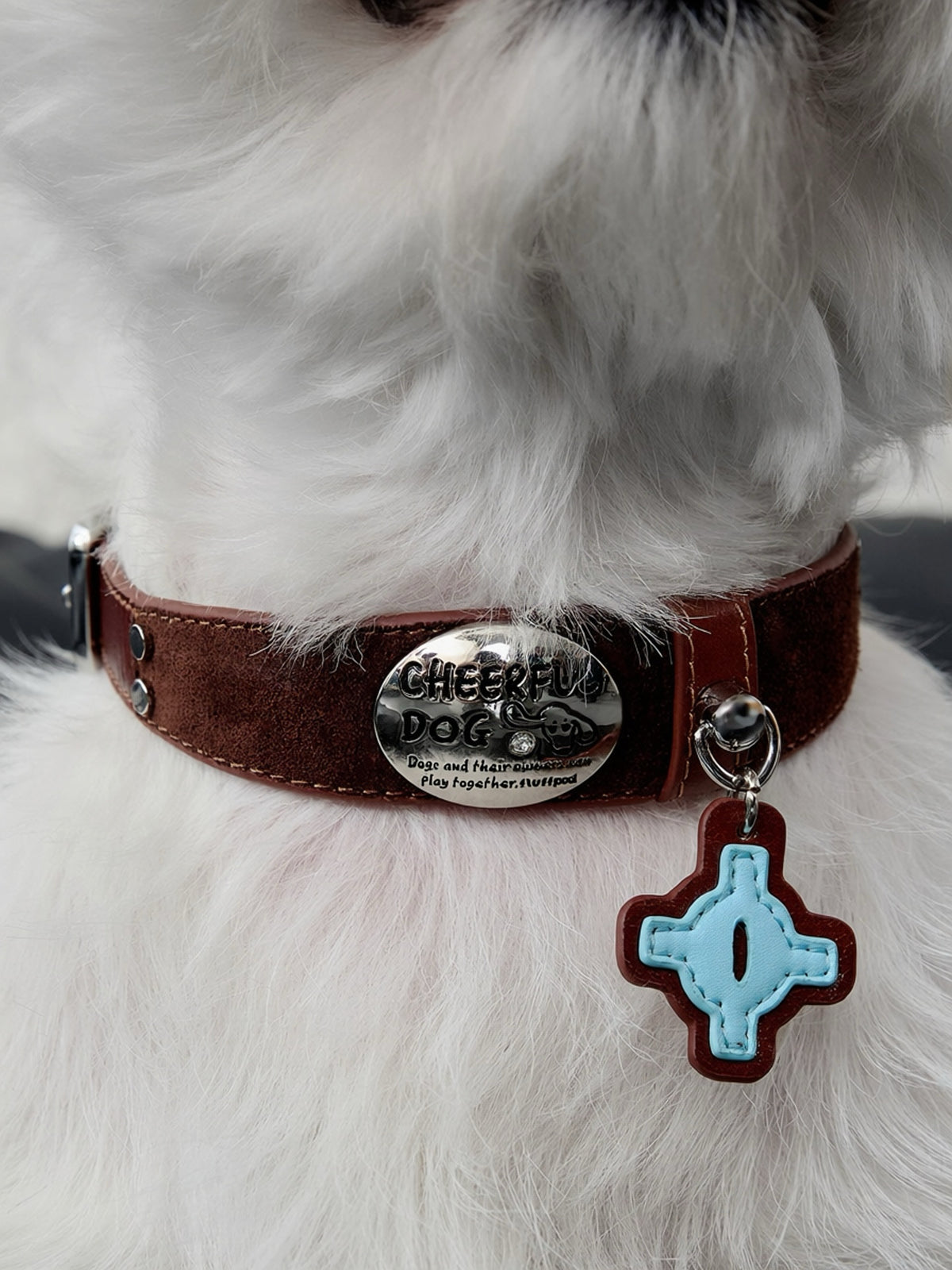 Twoll Vintage Leather Dog Collar