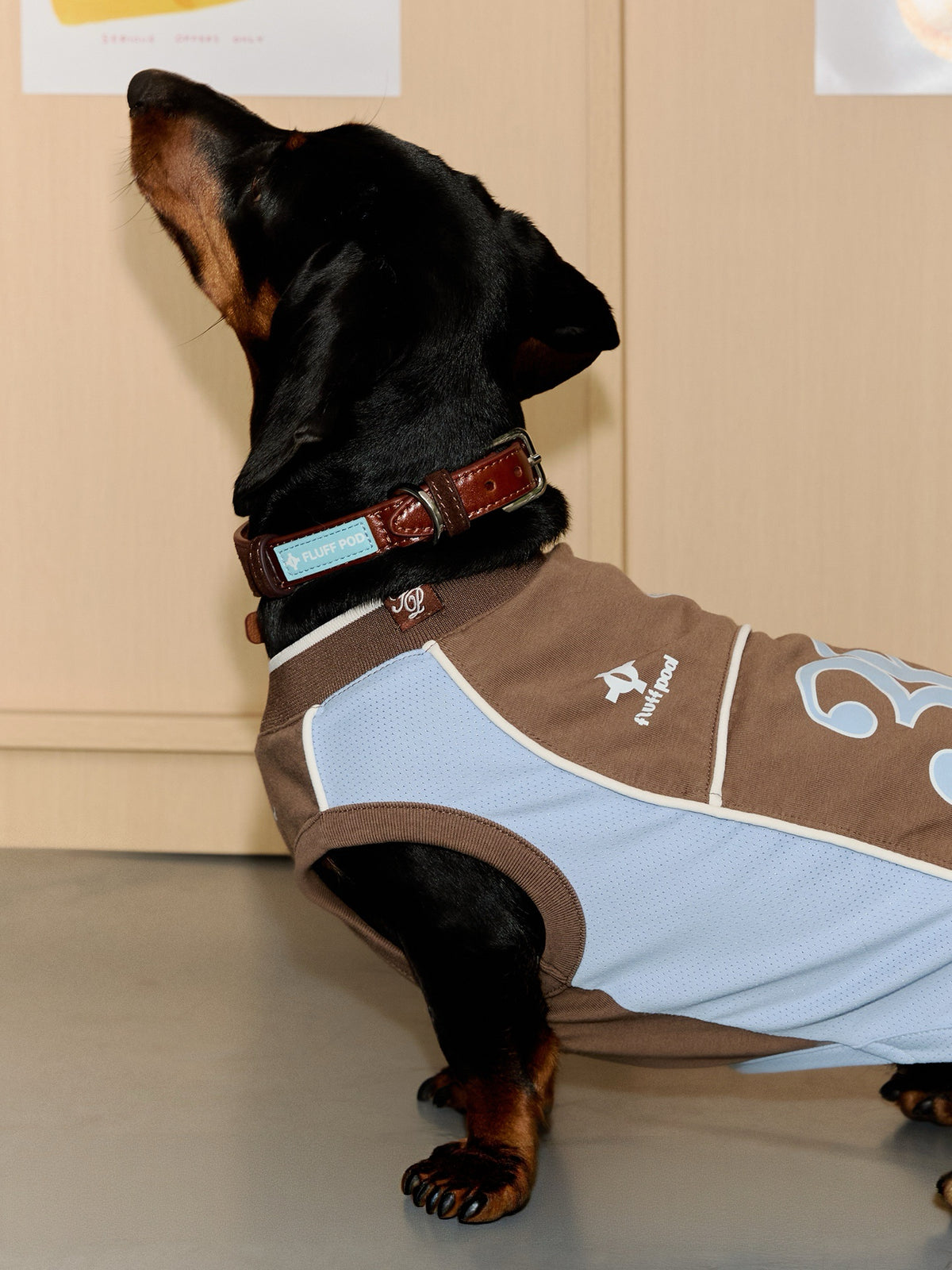 Twoll Vintage Leather Dog Collar