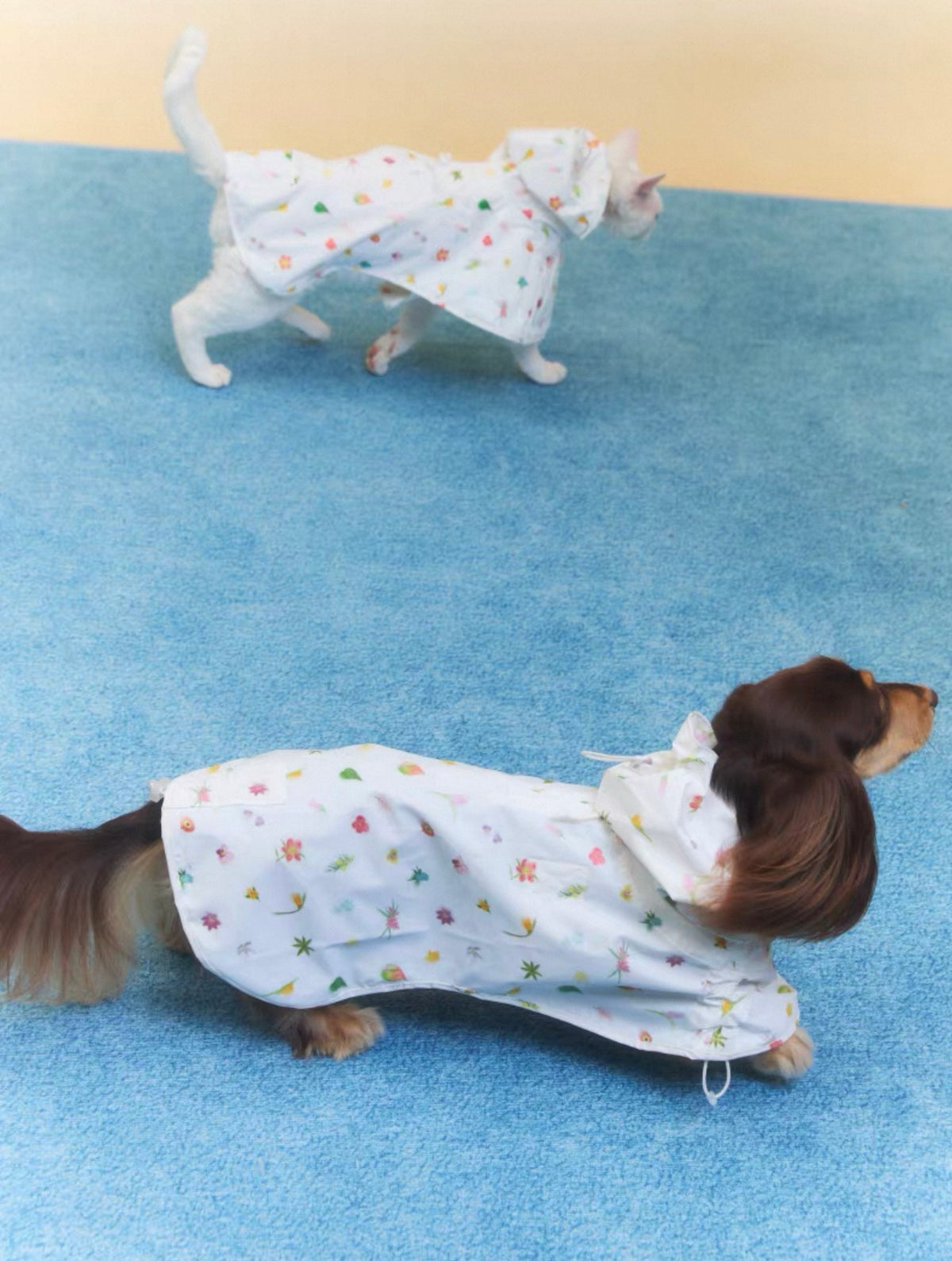 Twoll Floral Waterproof Dog Rain Poncho