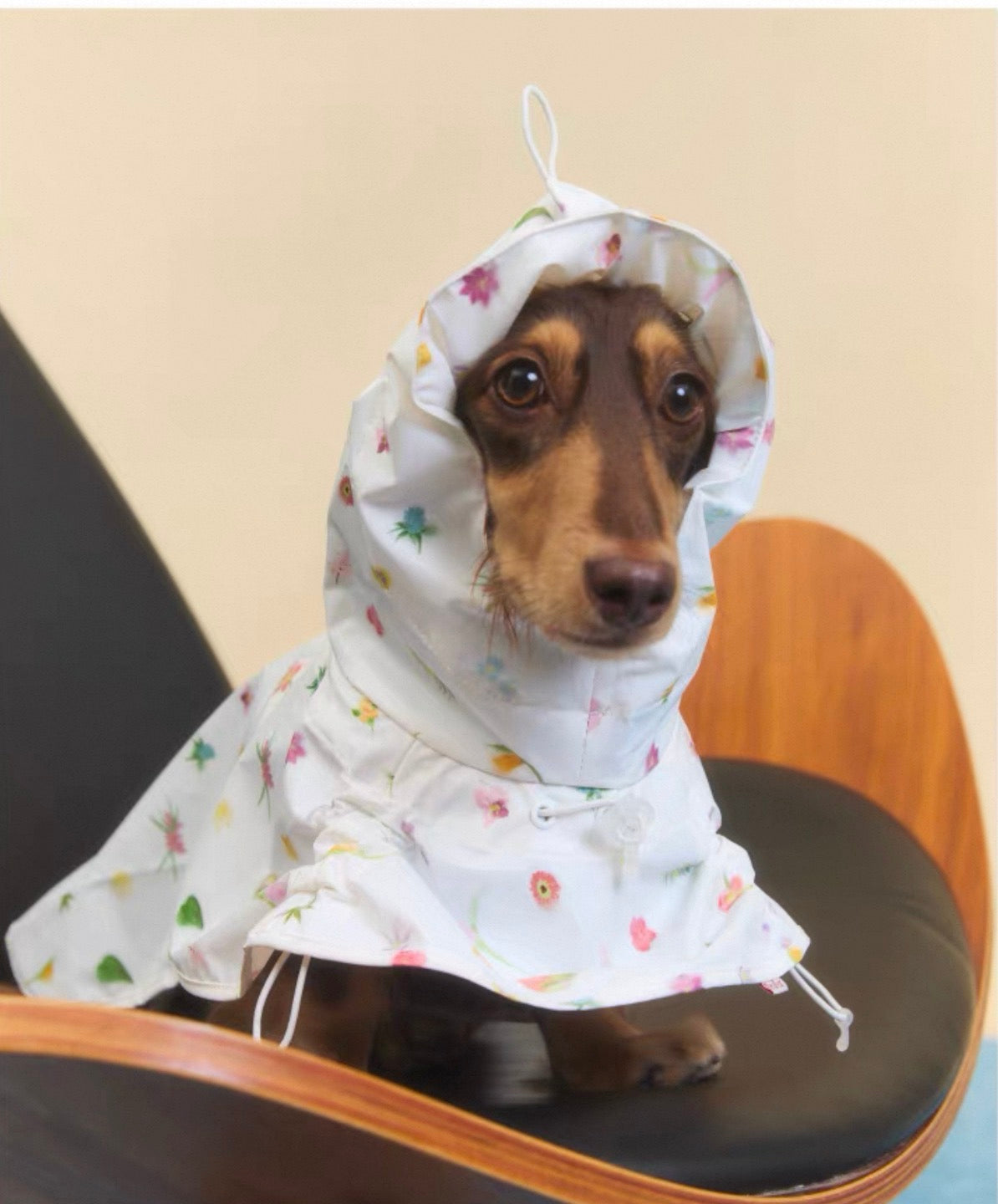 Twoll Floral Waterproof Dog Rain Poncho