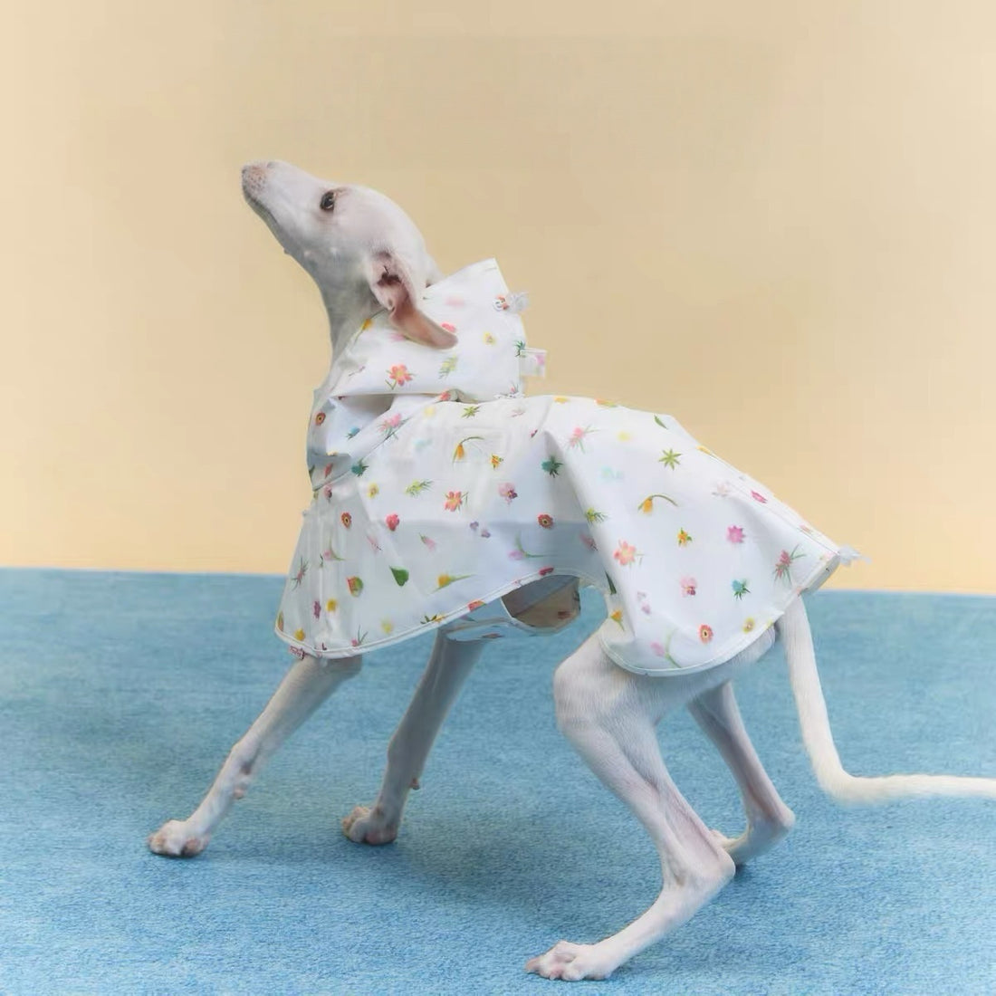 Raincoats