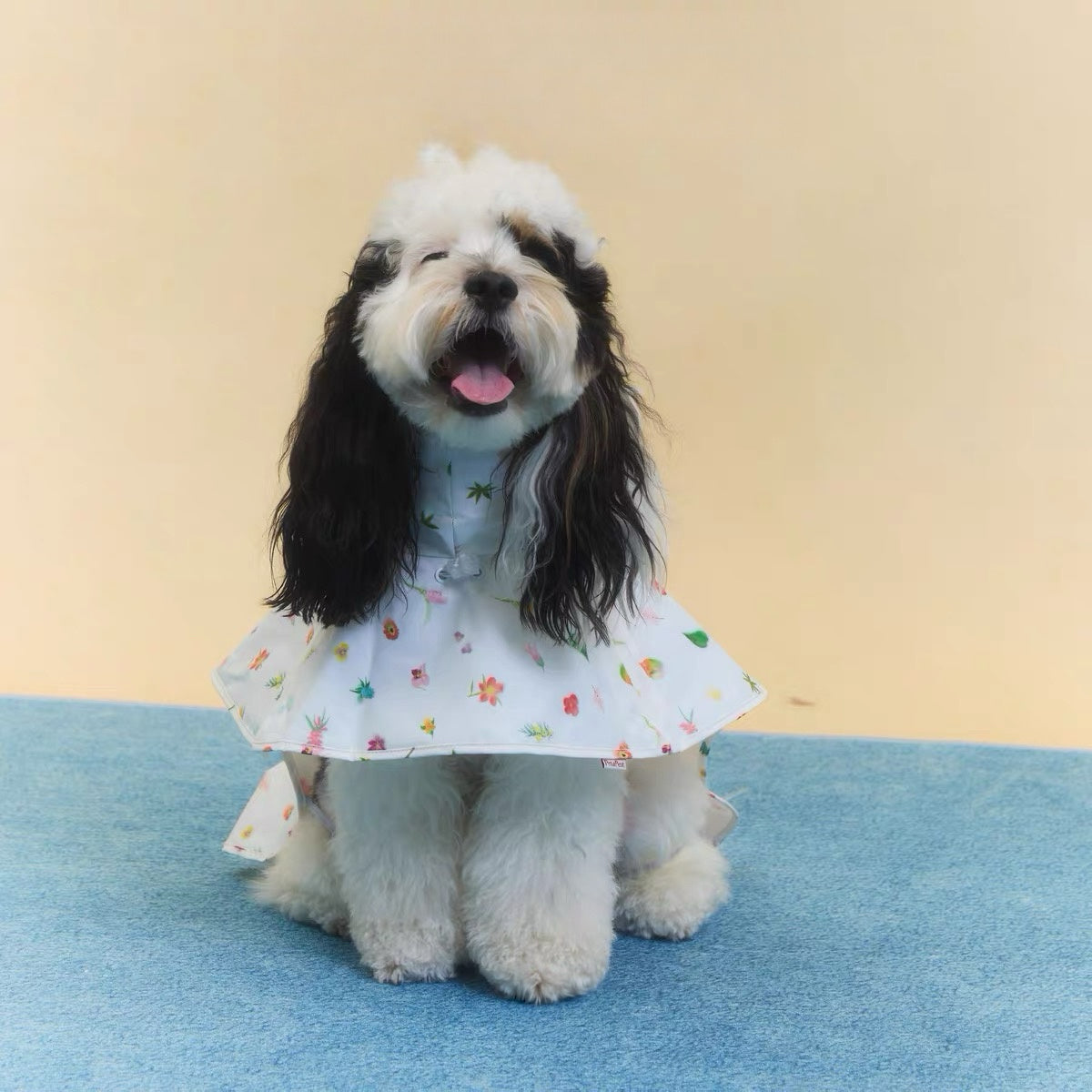 Twoll Floral Waterproof Dog Rain Poncho