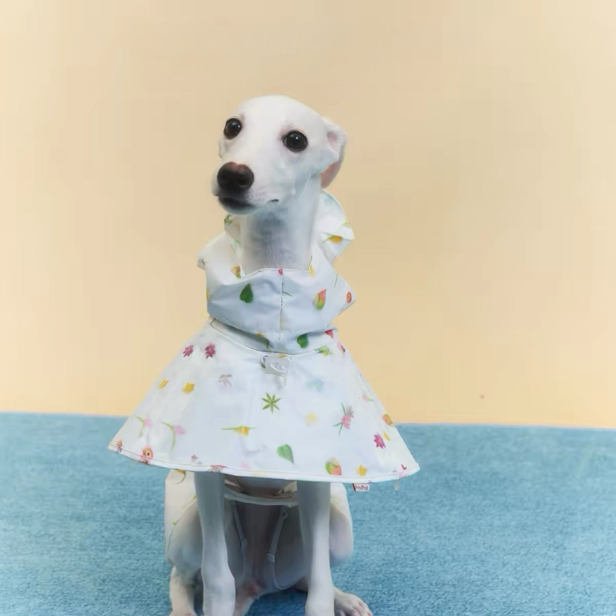 Twoll Floral Waterproof Dog Rain Poncho