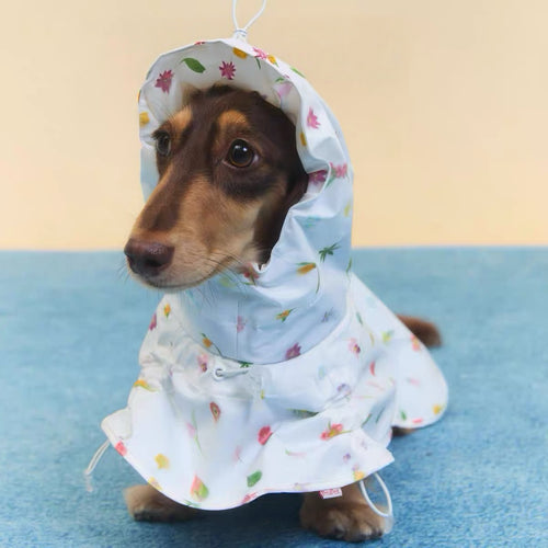 Twoll Floral Waterproof Dog Rain Poncho