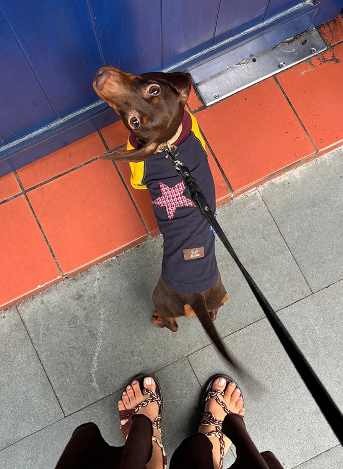 Twoll Vintage Star Patch Dog Tank Top