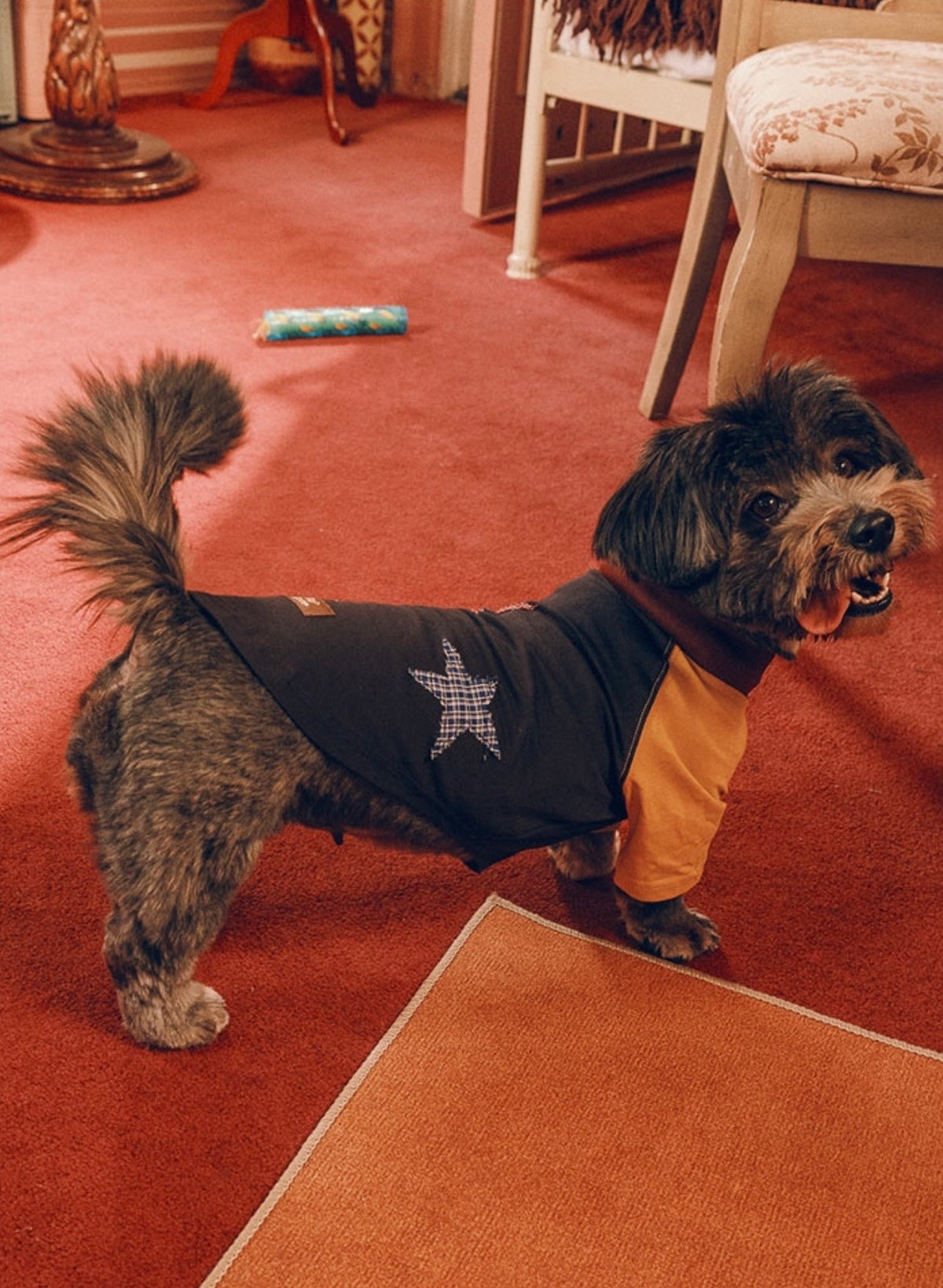 Twoll Vintage Star Patch Dog Tank Top