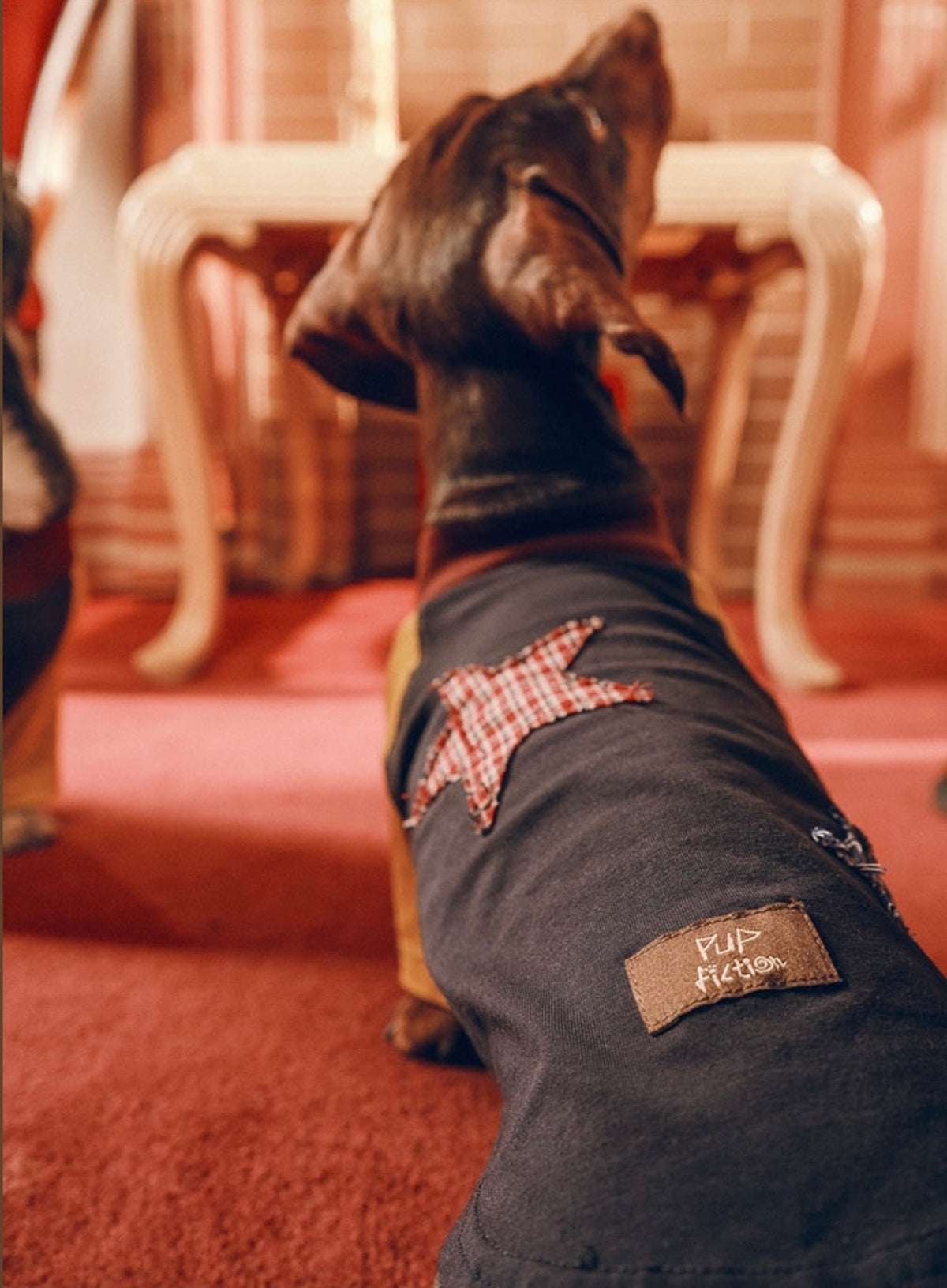 Twoll Vintage Star Patch Dog Tank Top