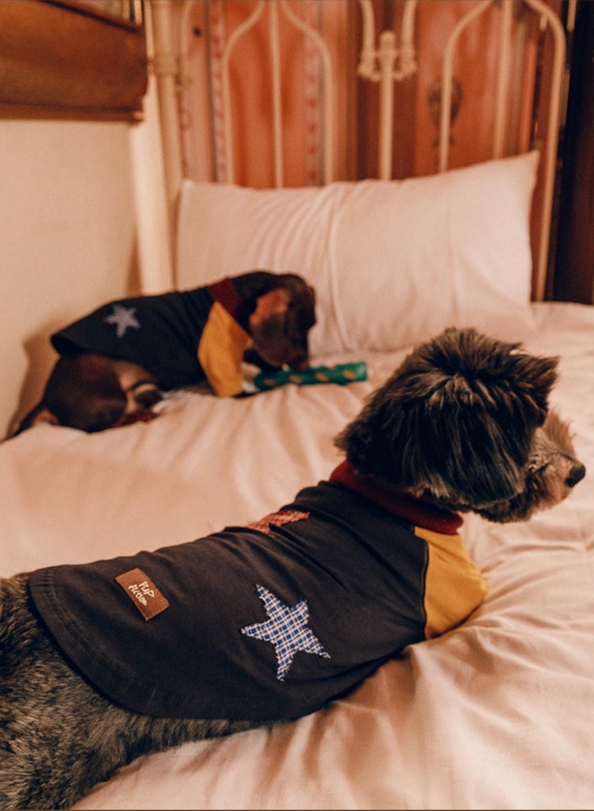 Twoll Vintage Star Patch Dog Tank Top