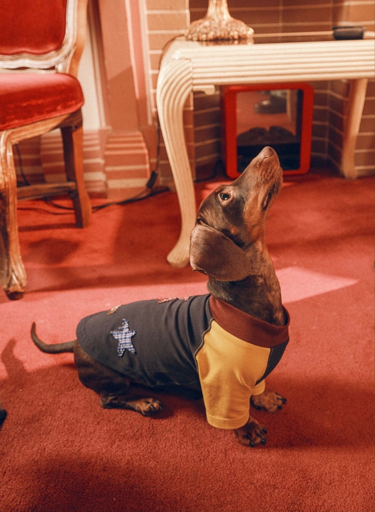Twoll Vintage Star Patch Dog Tank Top