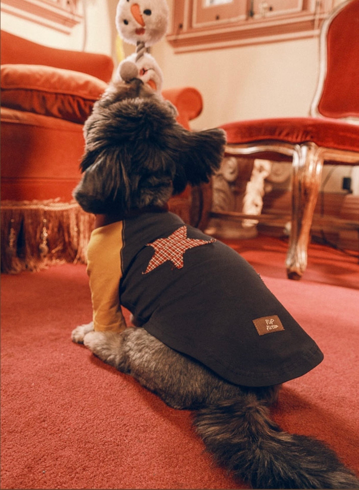 Twoll Vintage Star Patch Dog Tank Top