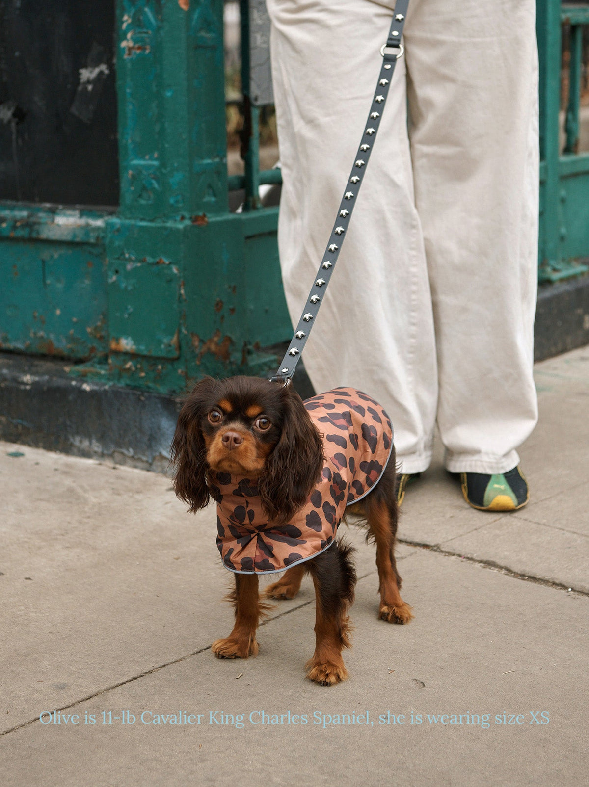 Little Beast Cougar Raincoat