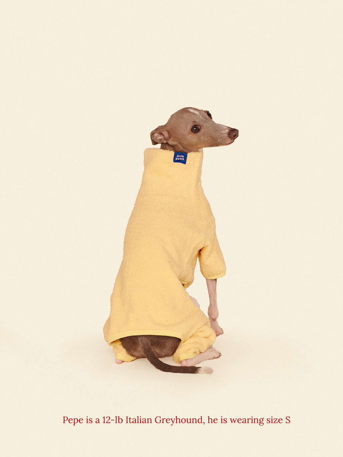 Rubber Ducky Fleece Onesie
