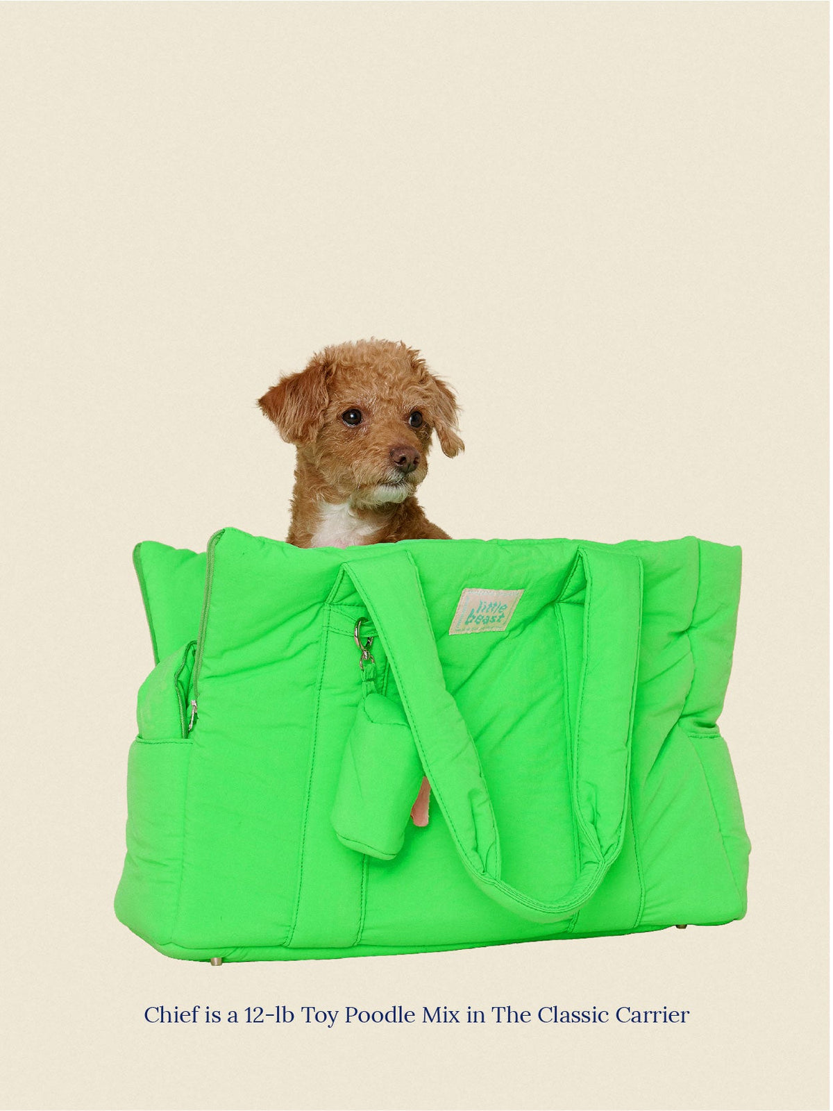 The Little Beast Carrier - Jackpot