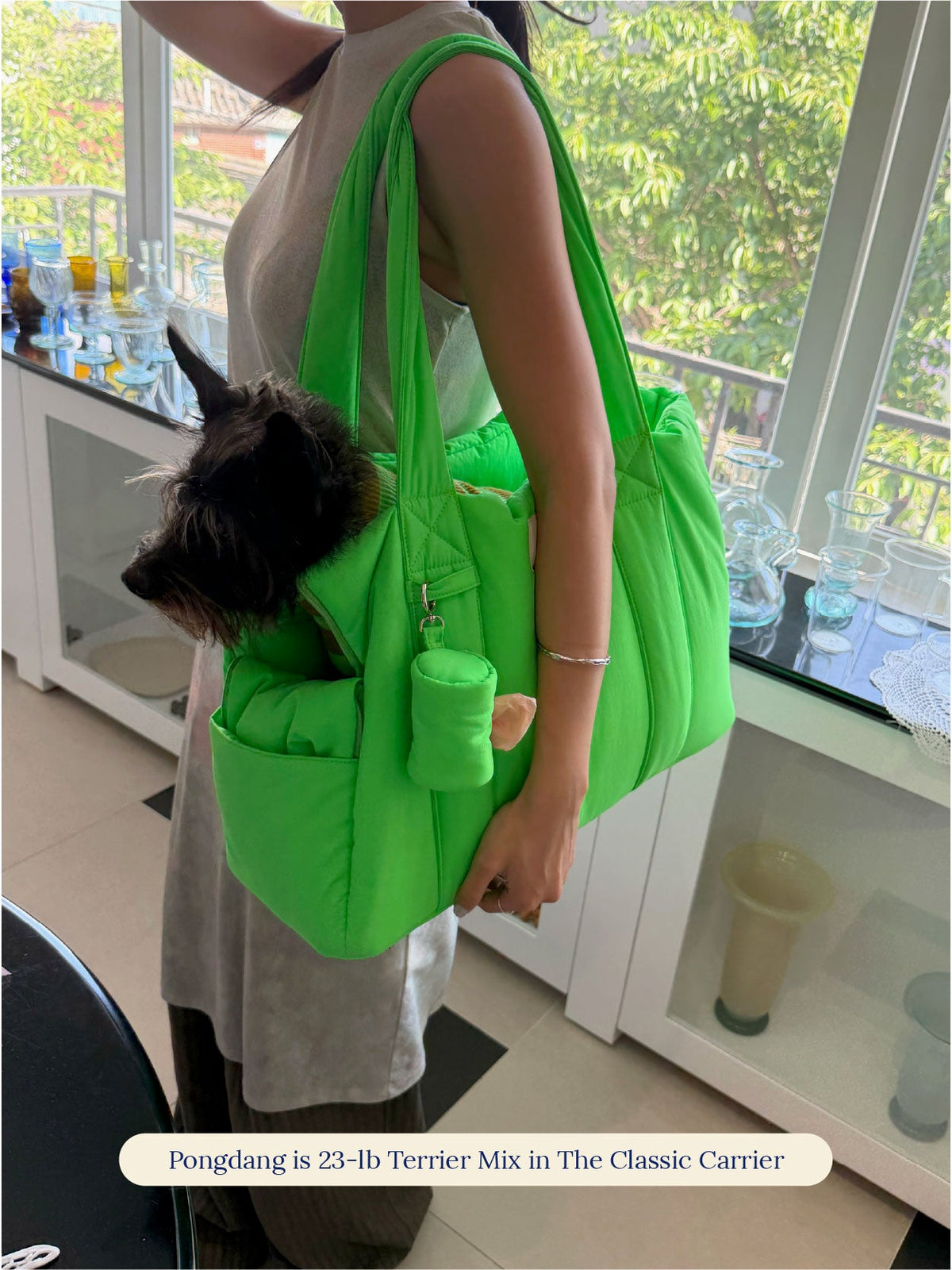 The Little Beast Carrier - Jackpot