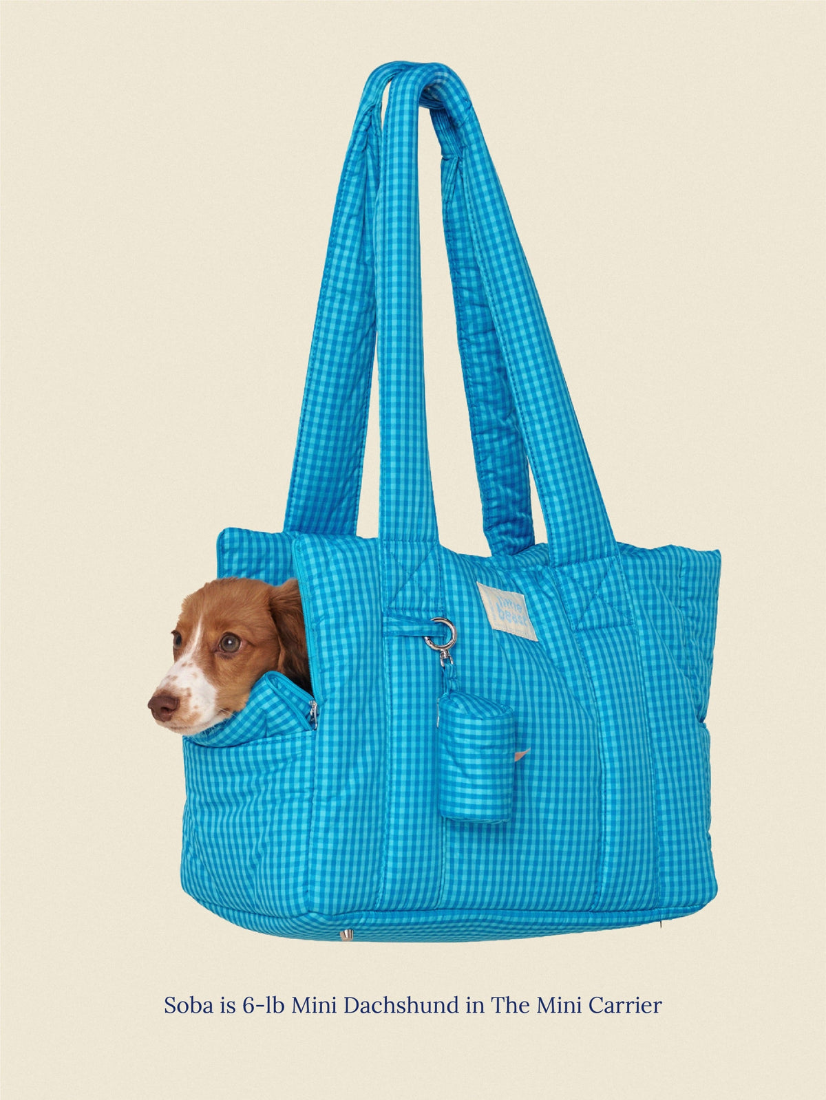 The Little Beast Carrier - Ocean Breeze