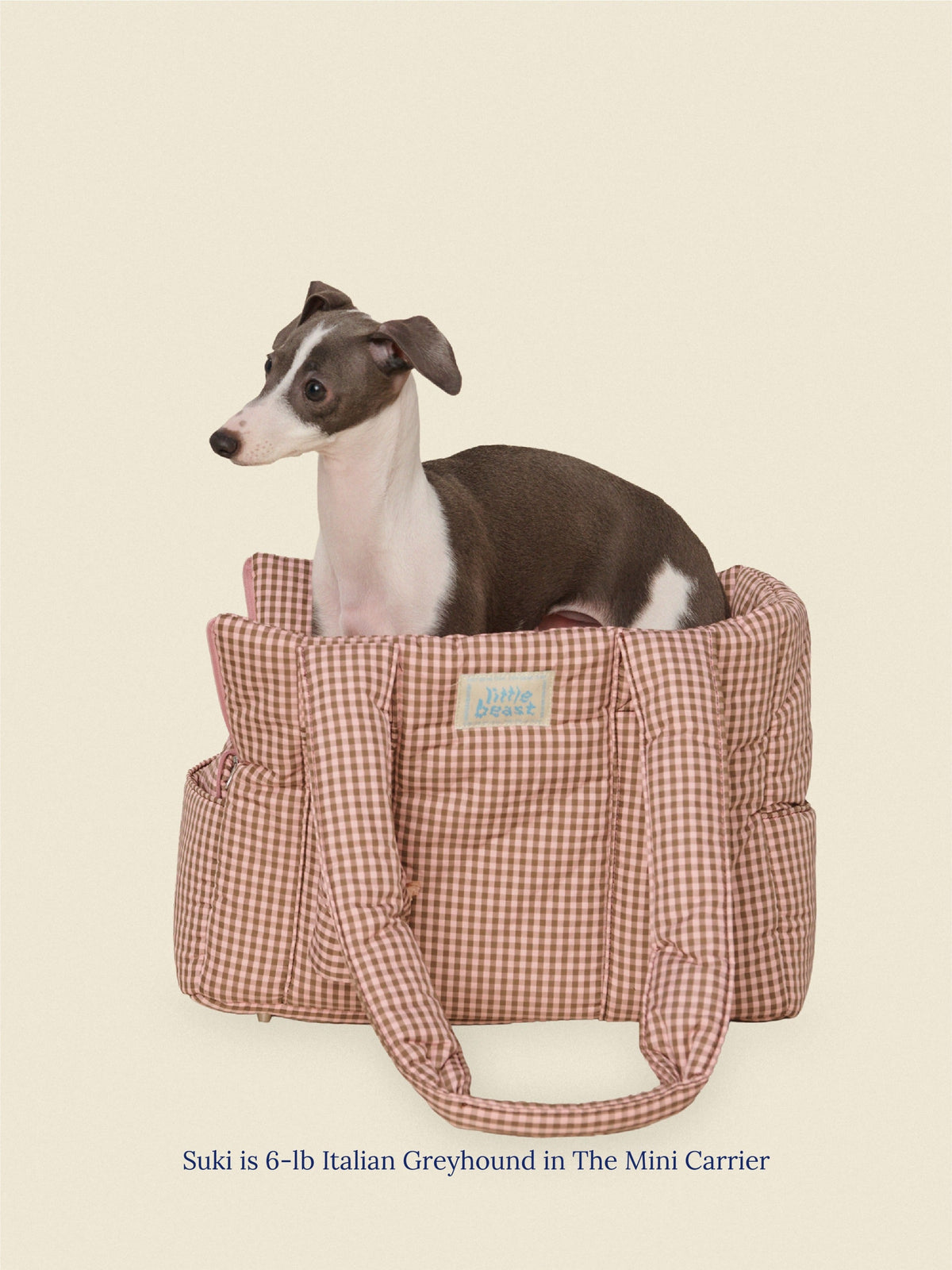 The Little Beast Carrier - RiRi