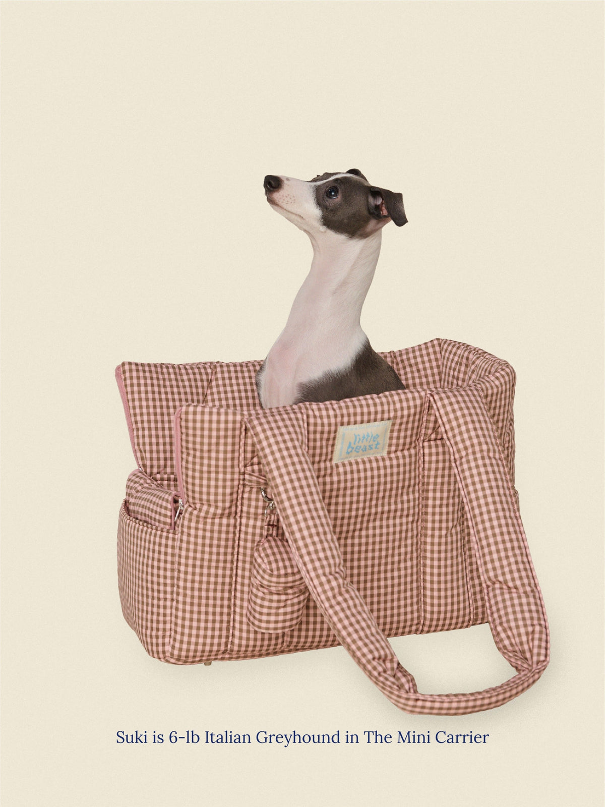 The Little Beast Carrier - RiRi