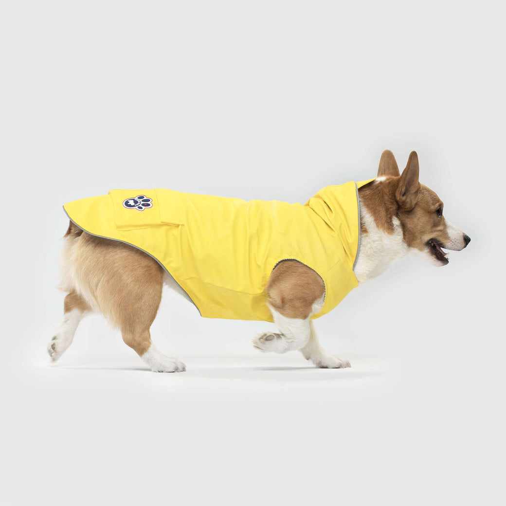 Raincoats