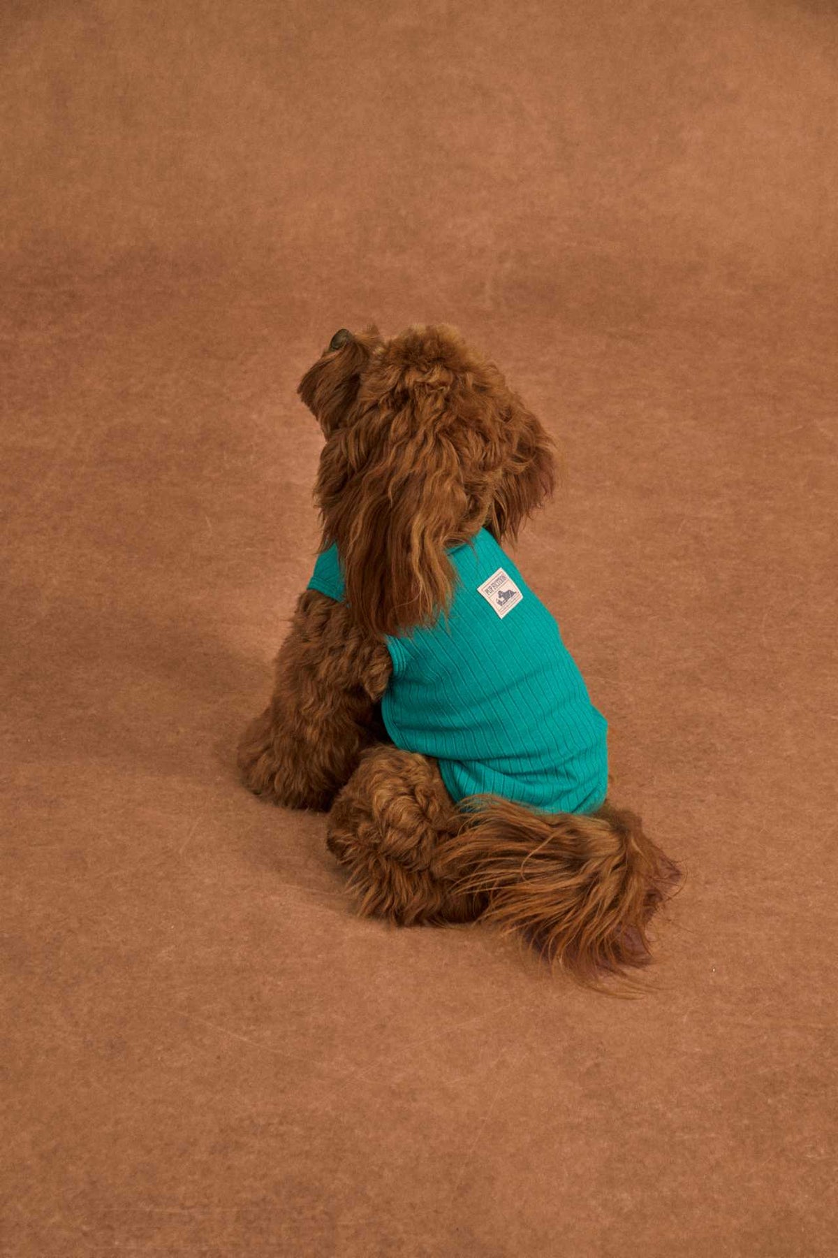 Lightweight cotton dog tank top