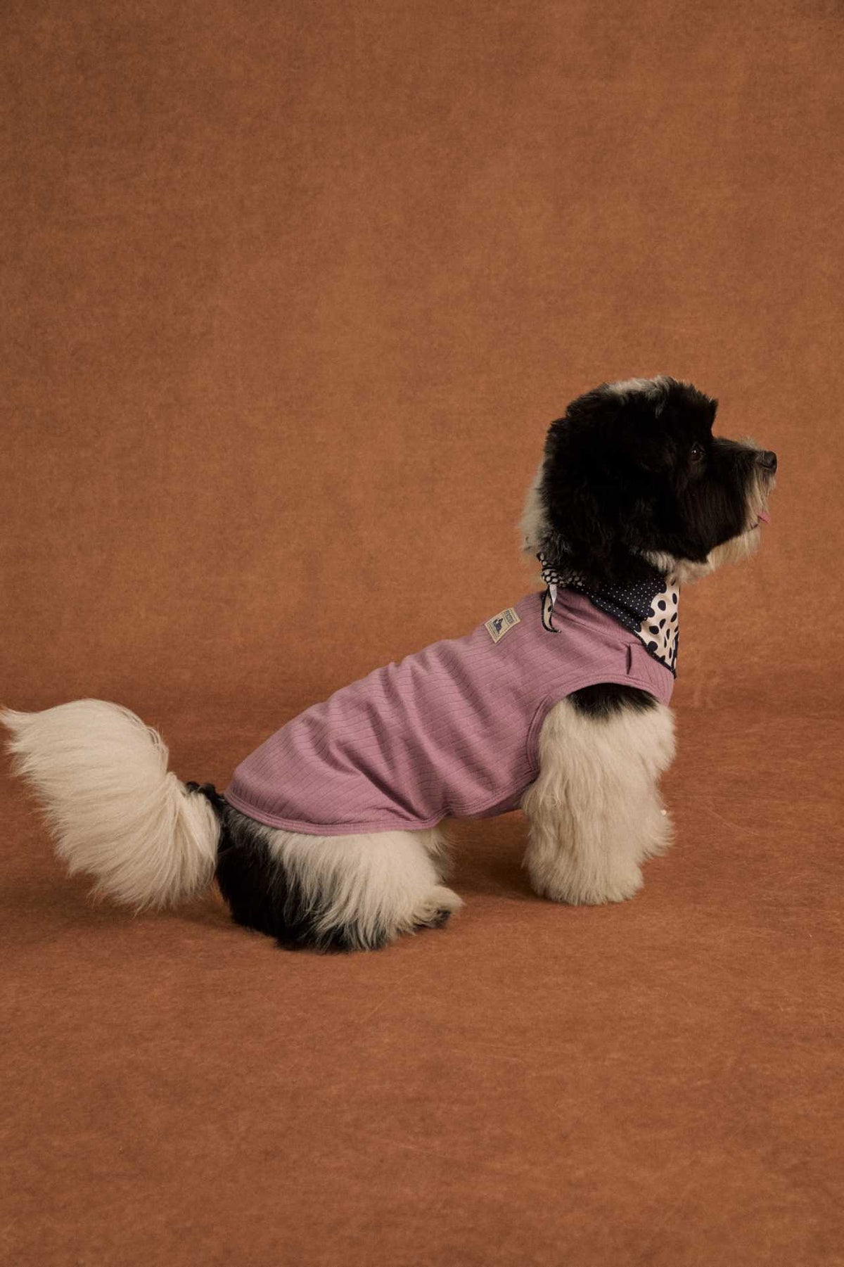 Lightweight cotton dog tank top