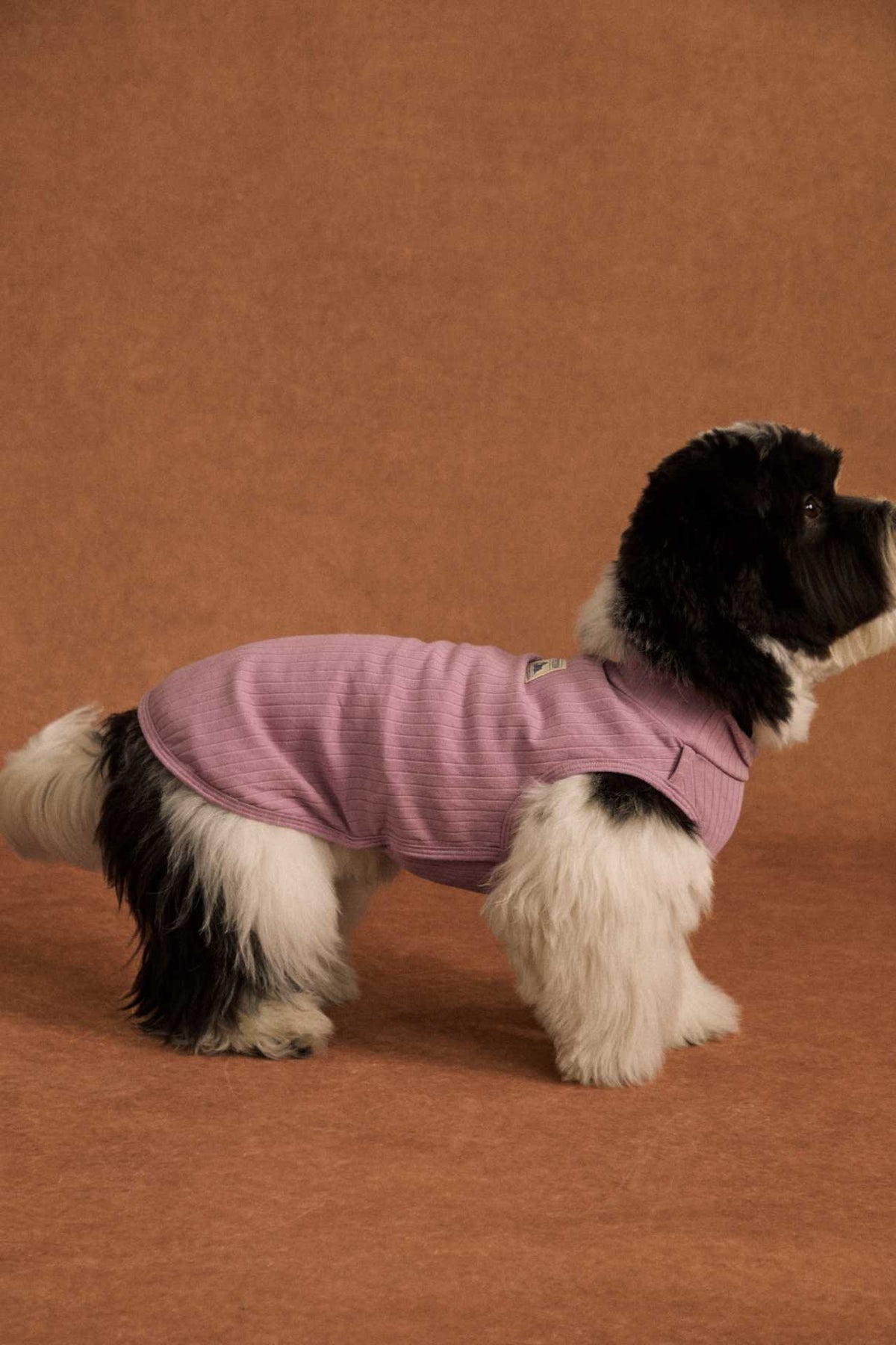 Lightweight cotton dog tank top