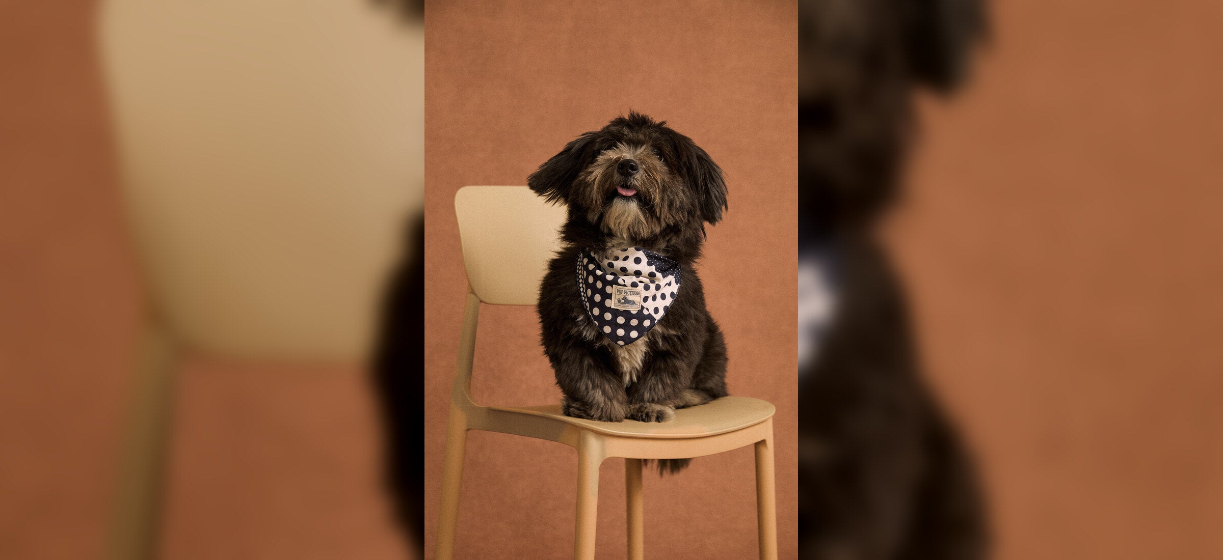 Dog wearing a polka dot TWOLL bandana