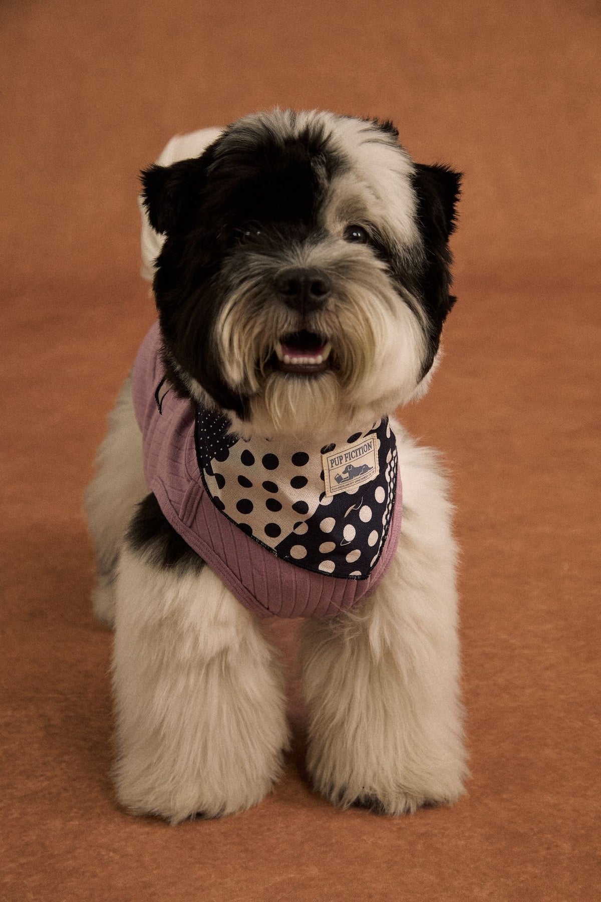 Polka dot patchwork cotton pet bandana