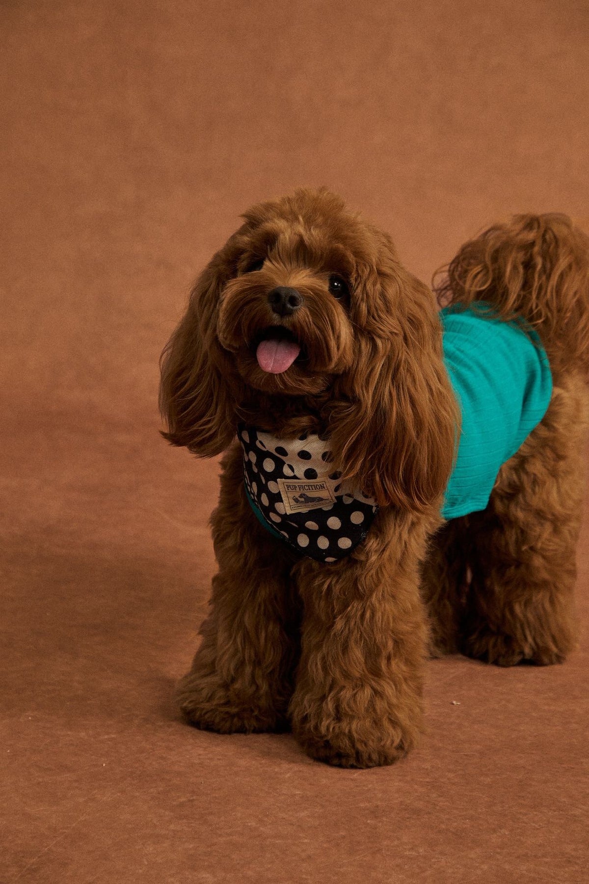 Polka dot patchwork cotton pet bandana