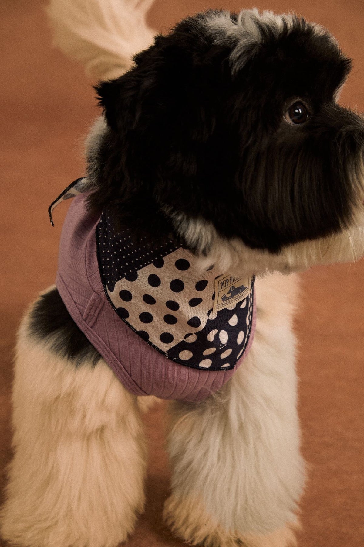 Polka dot patchwork cotton pet bandana