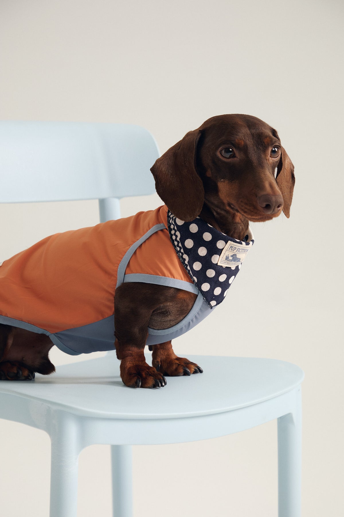 Polka dot patchwork cotton pet bandana