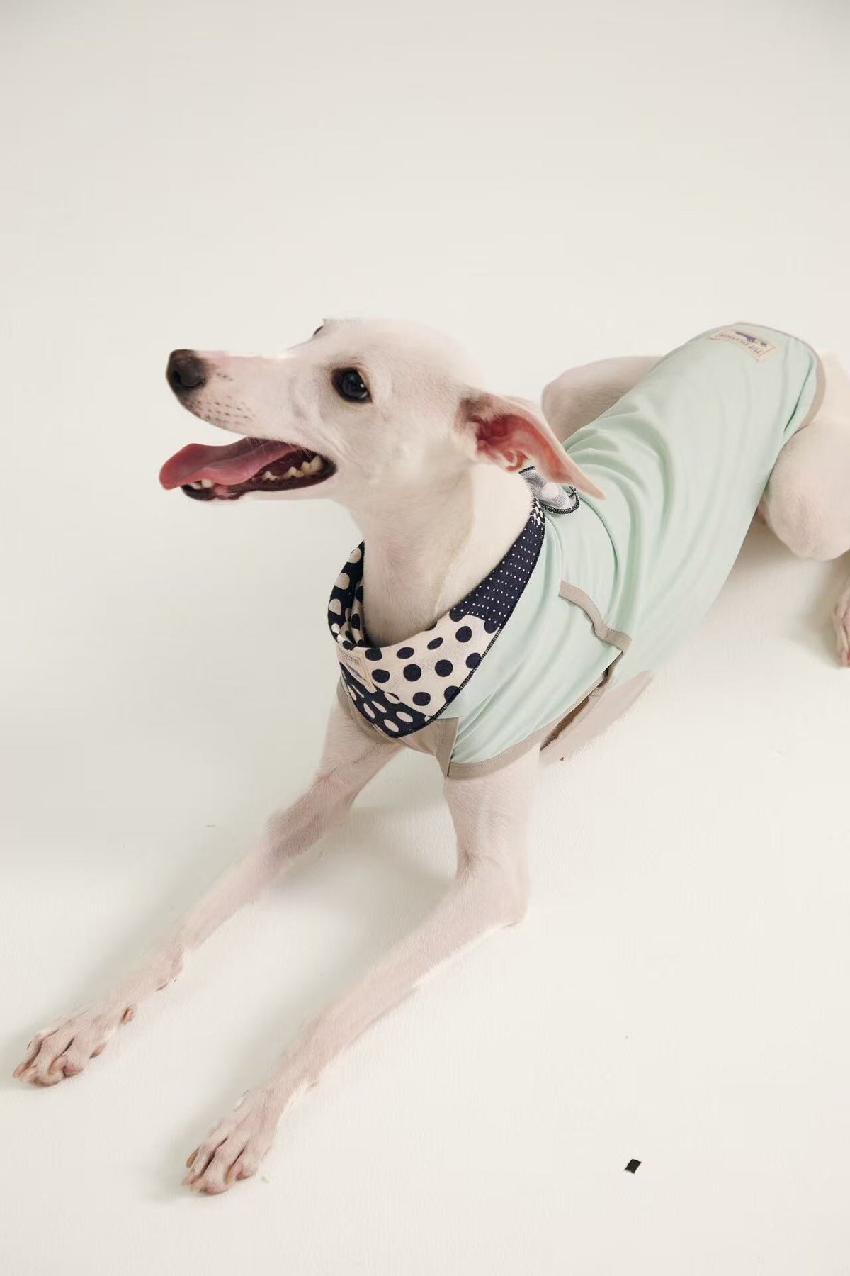 Polka dot patchwork cotton pet bandana