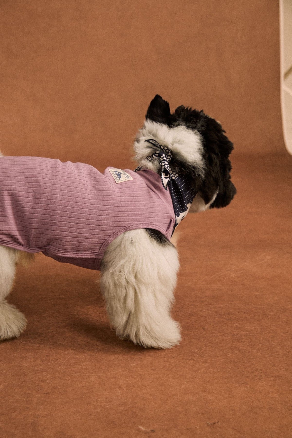 Polka dot patchwork cotton pet bandana