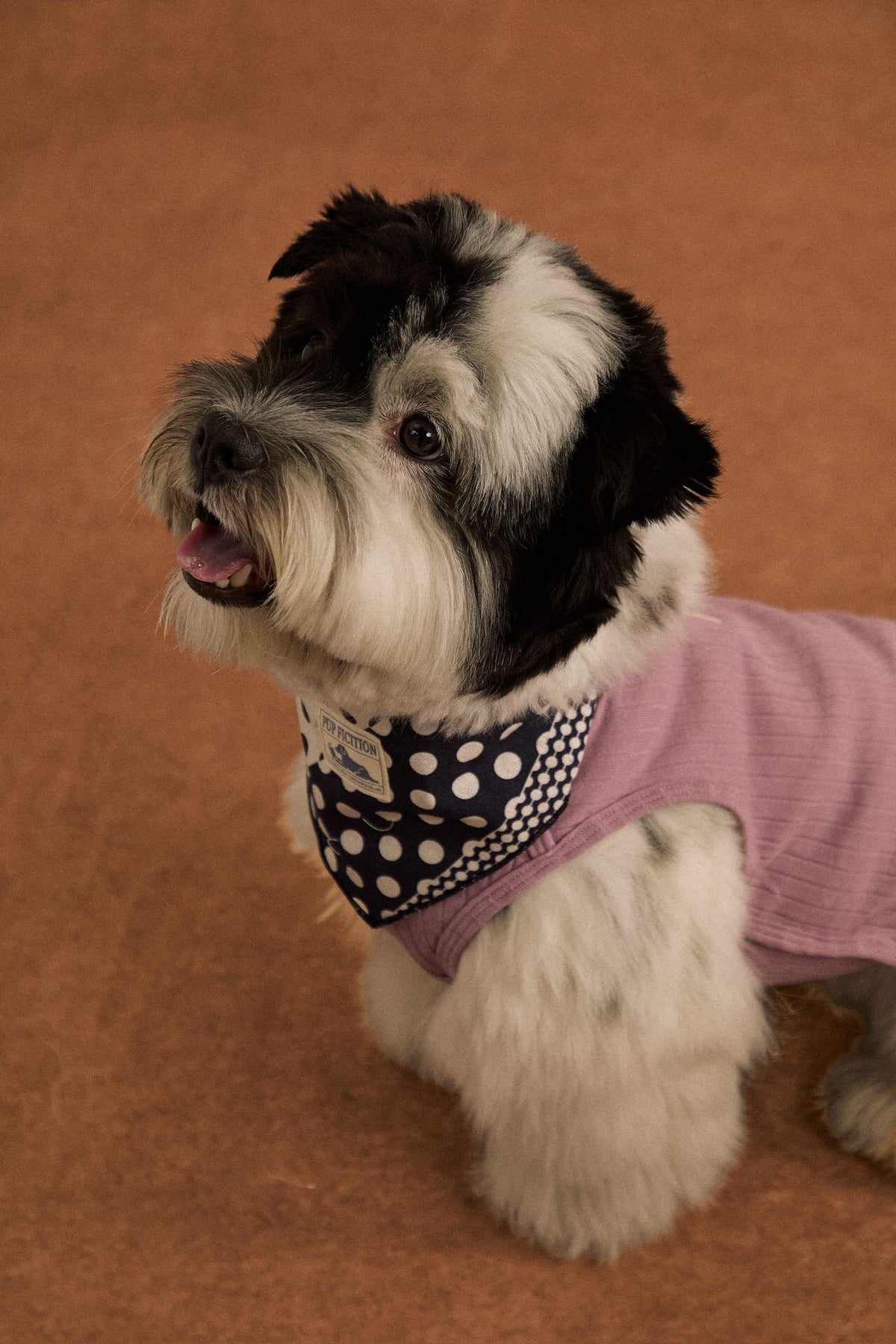Polka dot patchwork cotton pet bandana