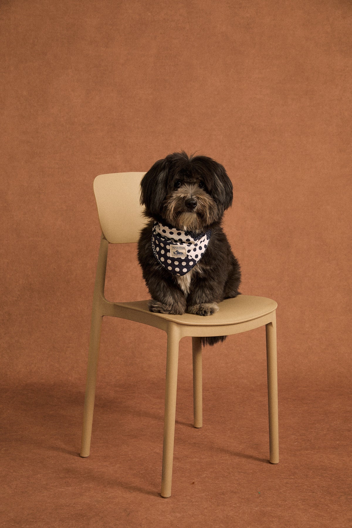 Polka dot patchwork cotton pet bandana