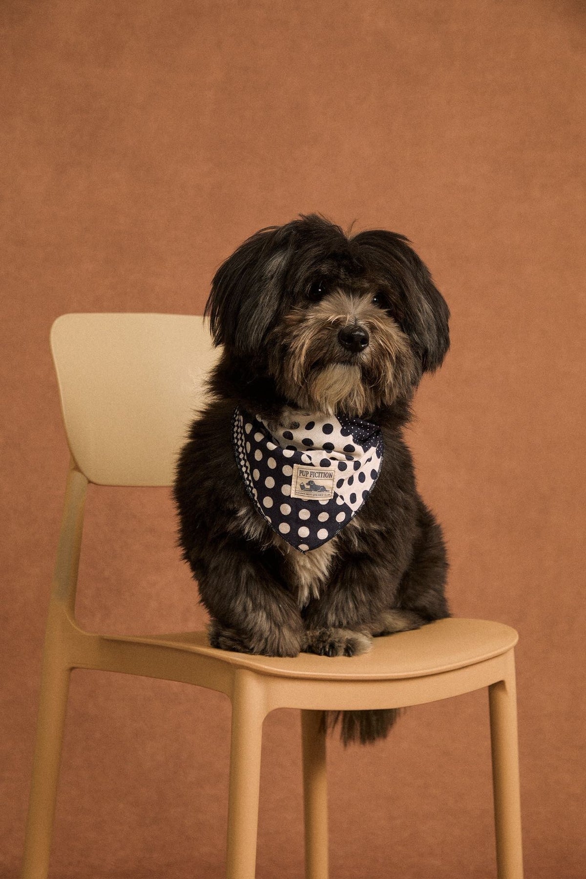 Polka dot patchwork cotton pet bandana