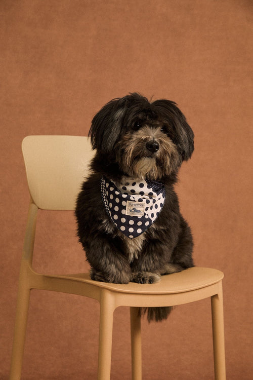 Polka dot patchwork cotton pet bandana