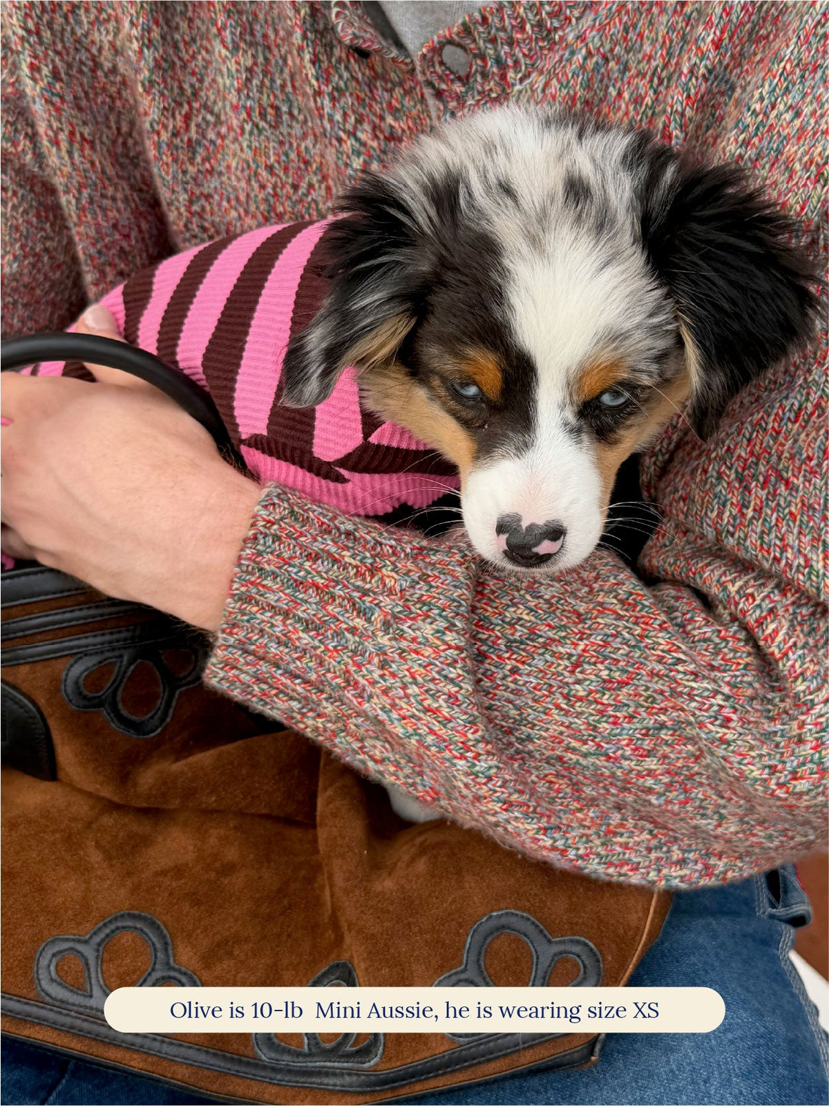 Little Beast Dog Stripe Onesie Cheshire Onesie