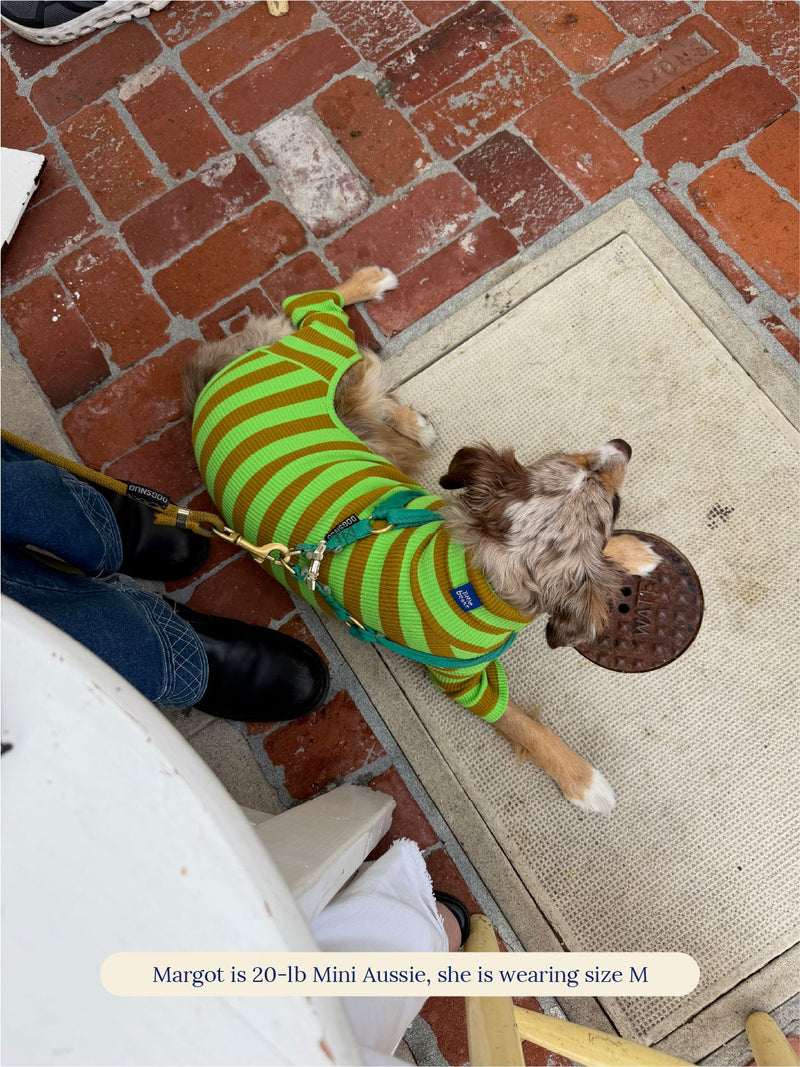 Little Beast Dog Stripe Onesie Fresh Grass Onesie