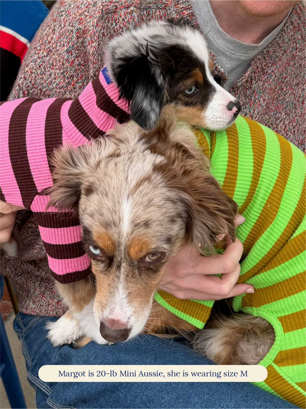 Little Beast Dog Stripe Onesie Fresh Grass Onesie