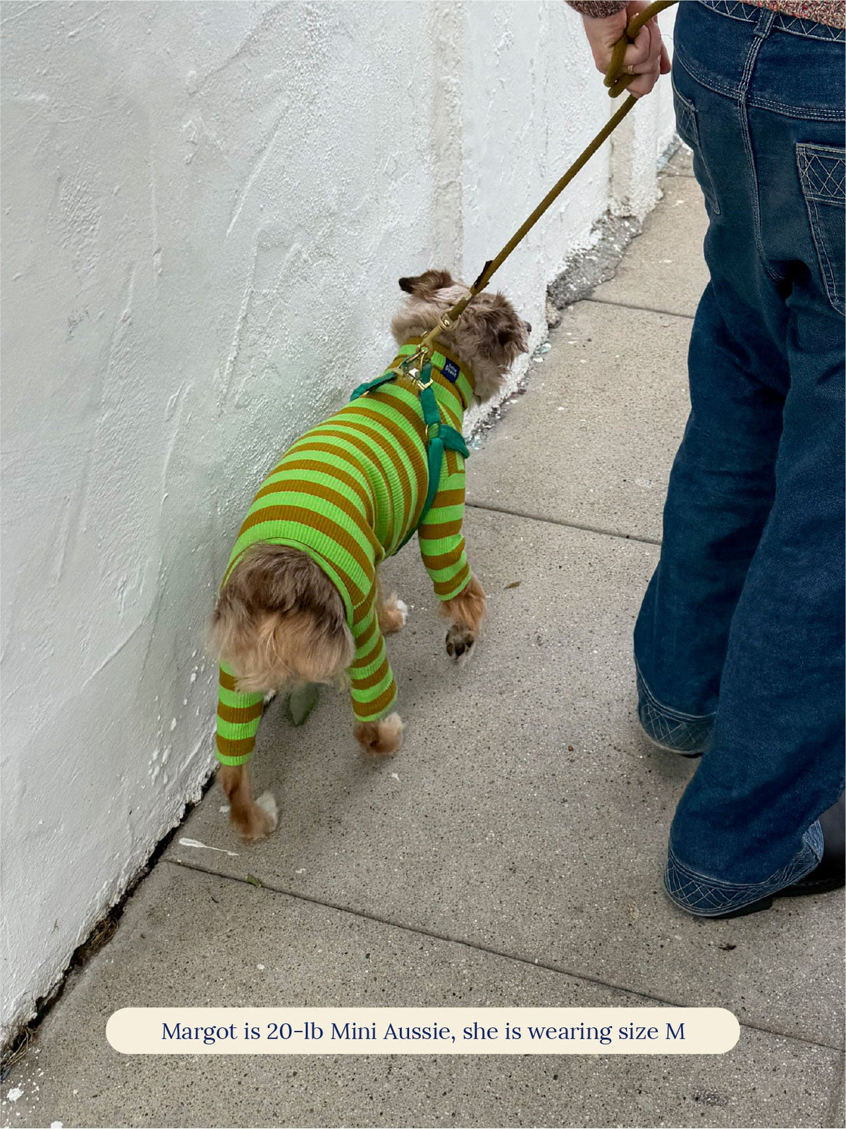 Little Beast Dog Stripe Onesie Fresh Grass Onesie