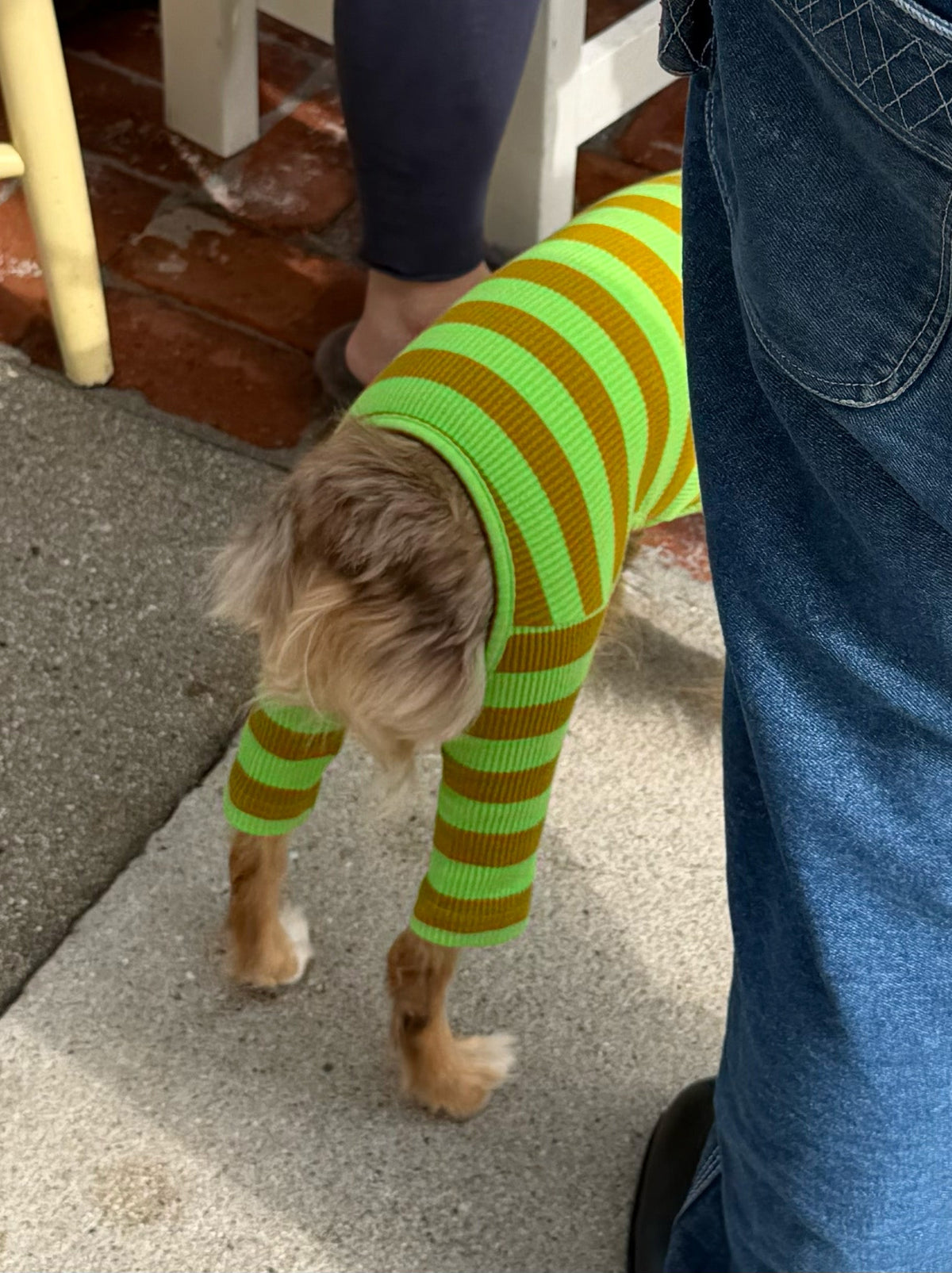 Little Beast Dog Stripe Onesie Fresh Grass Onesie