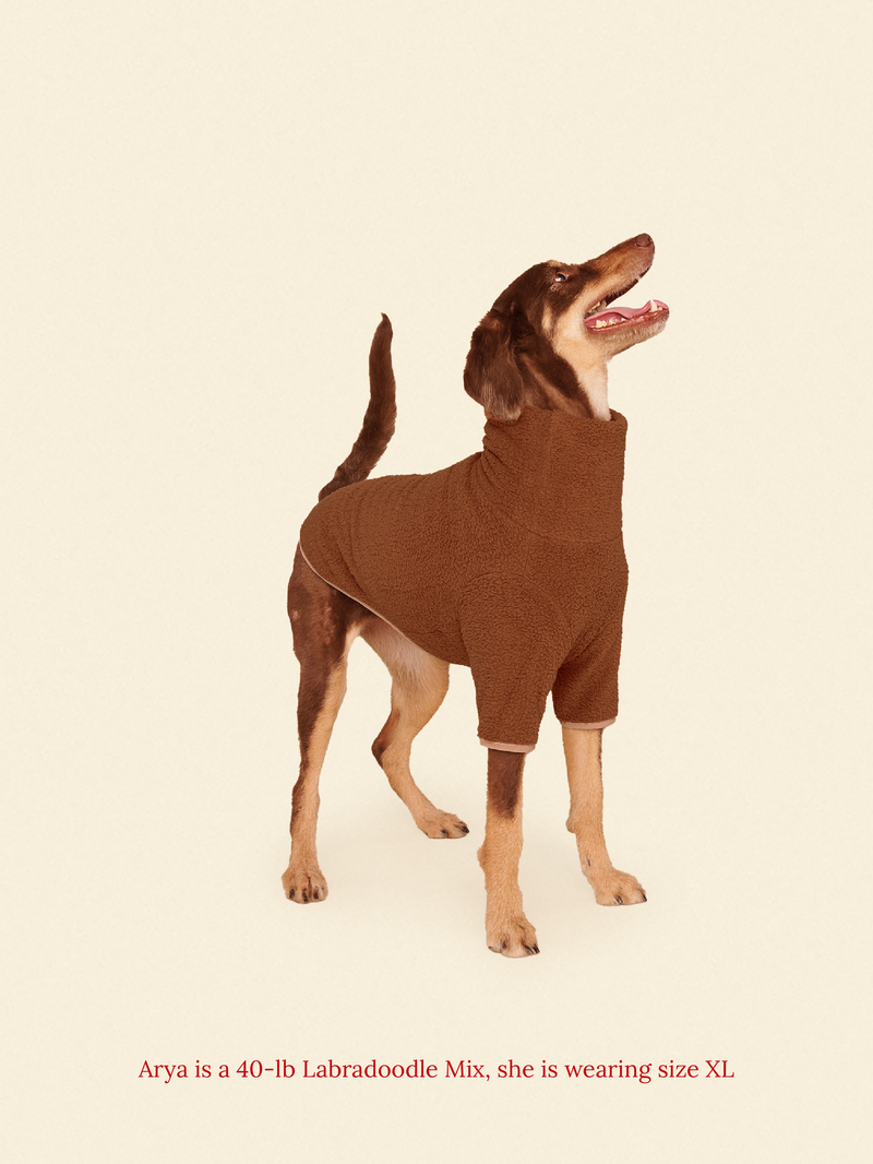 Little Beast Dog Fleece Shirt Magic Brownie Fleece Shirt