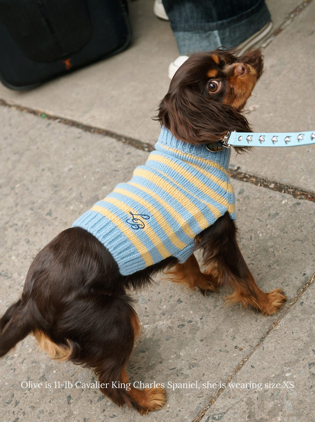 Little Beast NEW STRIPES BL/YL