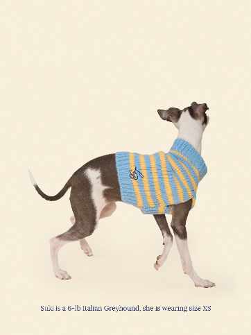 Little Beast Dog Sweater Harmony Sweater