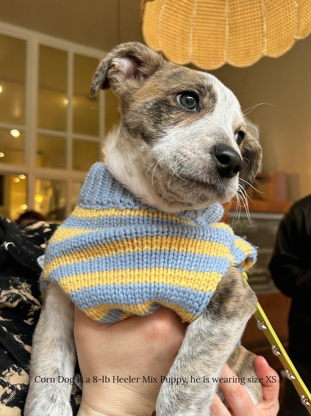 Little Beast Harmony Sweater