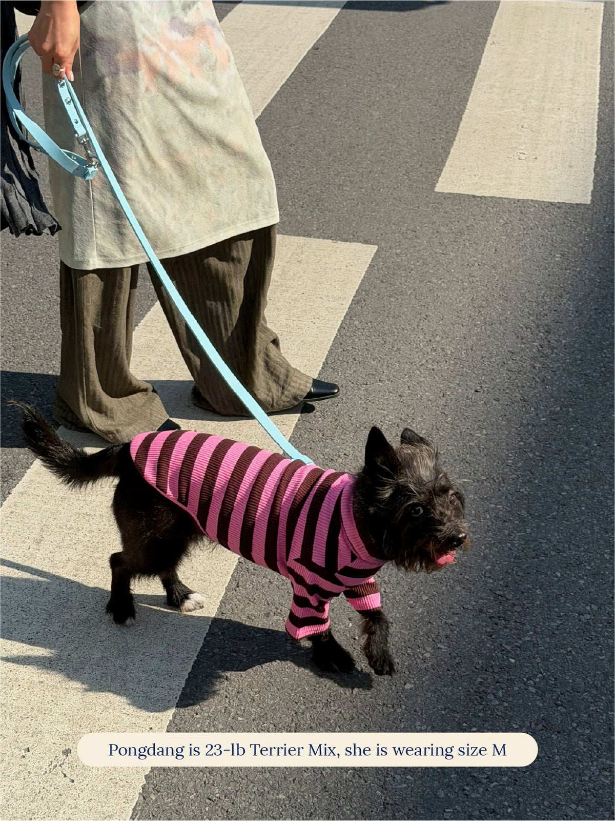 Little Beast Dog Stripe Shirt Cheshire Shirt